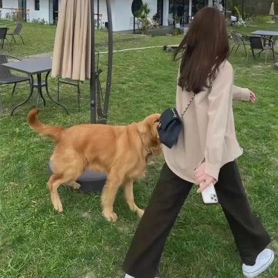 推荐影视